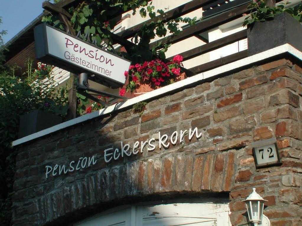 Haus Uebernachtenswert Cochem Mosel מראה חיצוני תמונה